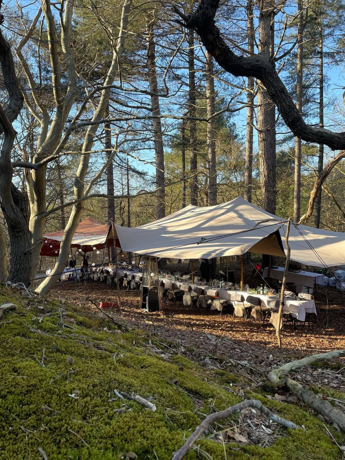 Beige stretchtent met gedekte tafels in een bos